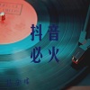 林金煌《抖音环绕》[MP3/LRC]