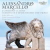 Giorgio Sasso、Andrea Mion、Insieme Strumentale di Roma - I. Andante e spiccato