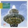 Helmut Koch、Kammerorchester Berlin - I. Overture