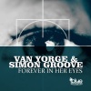 Van Yorge、Simon Groove - Forever in Her Eyes (Danny Legatto Remix)
