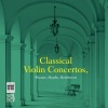 Katrin Scholz、Kammerorchester Berlin - I. Allegro