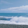 潮音哥、MC水观音 - 爱上一匹野马