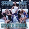 Pitbull、Stevie B《Spring Love 2013 (Radio Mix)》[MP3/LRC]