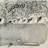 Handkerchief - Congo Rain