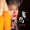 曲木阿依 - 飞鸟