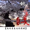 诗梦冬旭、九歌 - 桃花十年等一人