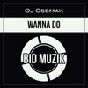Dj Csemak - Wanna Do (Original Mix)