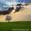 DNA Chakra Nature Guru - Guru Flow