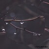 Cardo Grandz - innuendo