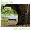 Relaxing Piano Man - Serenity Lake