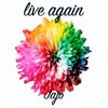 Jajo - Live Again