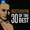 Zagreb Philharmonic Orchestra - I. Allegro con brio