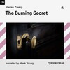 Stefan Zweig、Mark Young - Chapter 1 (TheBurningSecret)