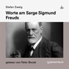 Stefan Zweig、Peter Bocek - Kapitel 1 (WorteamSargeSigmundFreuds)