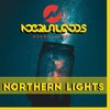 Noequalgods、Melnik Alexandr Vladimirovich - Northern Lights