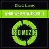 Doc Link - What We Know About It (Original Mix)