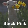 神秘人 - Bleak Pink (Remix)