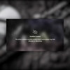 Bizz - Sensitive Content (Explicit)