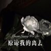 煞神 - 原谅我的离去 (Remix)