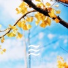 Calming Waves Soothing Sounds - Calming Babies Soothing Waves Sounds