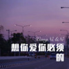 DJ六大大 - 想你爱你必须的 (Remix)