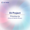 DJ Project - Privirea Ta (Chrom&VladimirRemix)