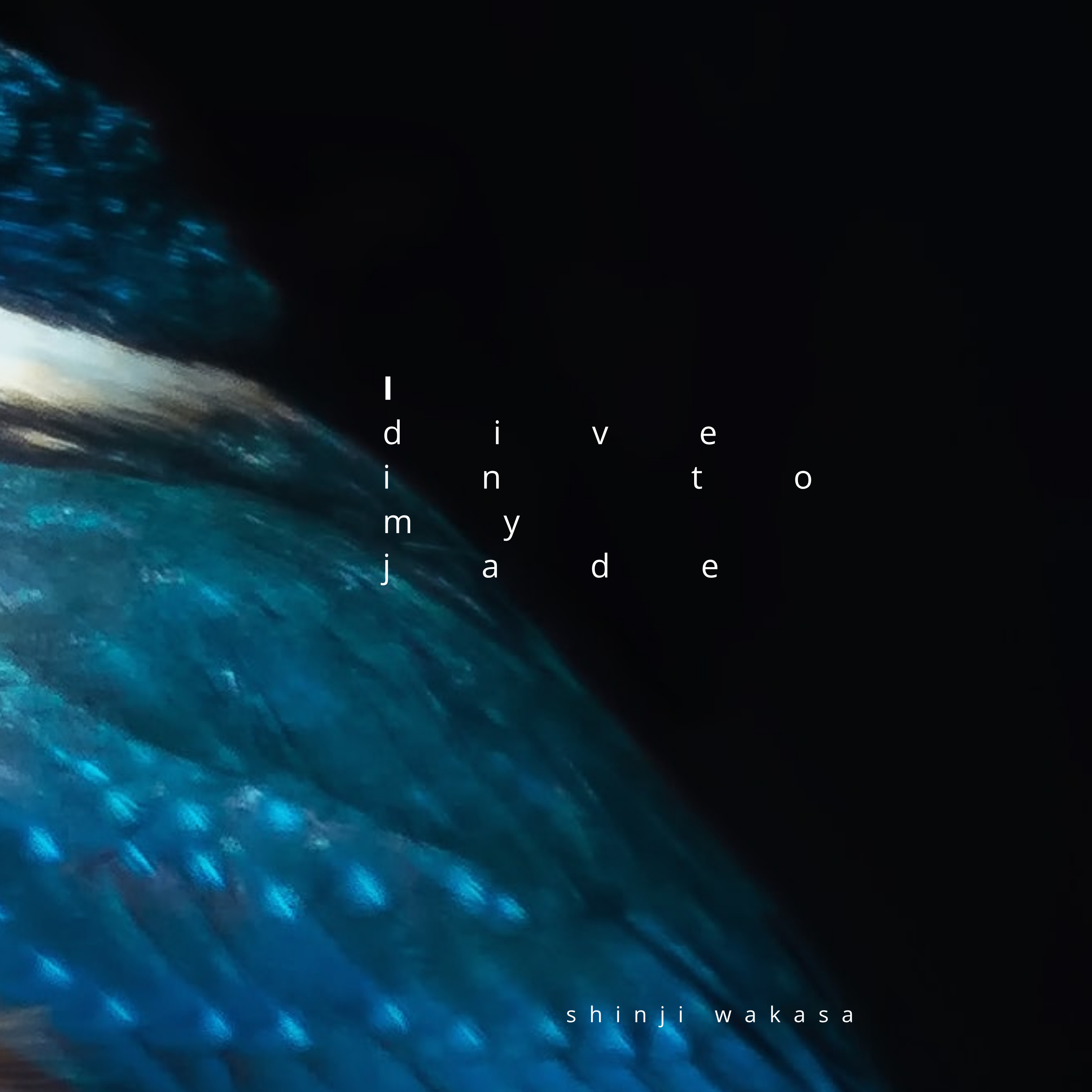 Shinji Wakasa - I dive in to my jade