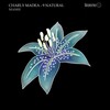 Charly Madea - Les Tudors