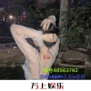 异域、EGM、扎职、蒂娜 - 奢香夫人 (DJ版)