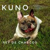 Kuno - Rey de Charcos
