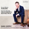 deutsches symphonie-orchester berlin、Kirill Karabits、Marc Coppey《Schelomo. Hebräische Rhapsodie für Violoncello und Orchester》[MP3/LRC]