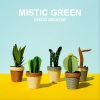 Mistic Green《Disco Groove》[MP3/LRC]