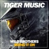 Wild Brothers《Bring It Down (Original Mix)》[MP3/LRC]