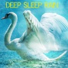 Wellness Pur、Wellness Spa、Organic Nature Sounds - Soft and Steady Rain