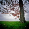 Nature Sounds from TraxLab、Calming Sounds from TraxLab、Ambient Sounds from I’m In Records - Leaves Blowing in the Wind, Pt. 01