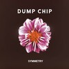 Dump Chip - Symmetry (Geometry Track)