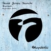 David James Bianchi - Fountain (Stygmalibra Remix)