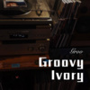 徐懵圆 - Groovy Ivory (Remix)