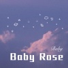 DJ胖虎 - Baby Rose (Remix)