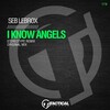 Seb LeBrox - I Know Angels (StereotypeRemix)