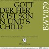 chor、Orchester der J. S. Bach-Stiftung、Rudolf Lutz - I. Chor - Gott der Herr ist Sonn und Schild (Live)