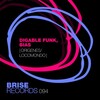 Digable Funk、Bias - Origenes (Original Mix)