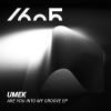 Umek《Are You into My Groove (Original Mix)》[MP3/LRC]