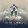 Drop Mind、Serenity Flux - Chakras