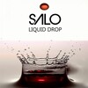 Salo - Liquid Drop (Extended Mix)