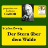 Stefan Zweig - Der Stern über dem Walde