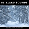 Loopable Radiance《Blizzard Sounds (Looped No Fade)》[MP3/LRC]