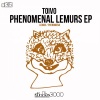 Toivo《Phenomena (Original Mix)》[MP3/LRC]