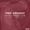 PMX Soundz - Introspection (Original Mix)