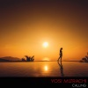 Yosi Mizrachi - Calling (Original Mix)